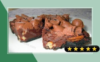 Decadent Chocolate Cookie Bars recipe