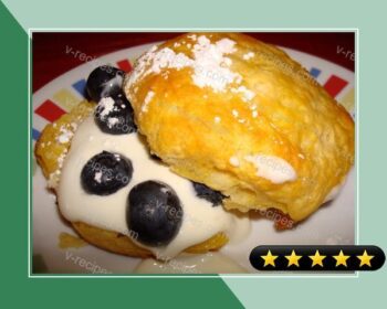 Lemon-Blueberry Shortcakes recipe