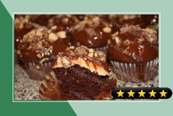 Reeses Peanut Butter Cup Cupcakes recipe