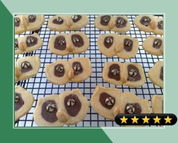 Hoot Owl Cookies recipe