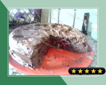 Dark Chocolate Cake With a Raspberry Filling recipe