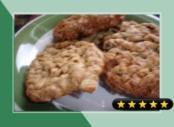 Sorghum Molasses Oatmeal Cookies recipe