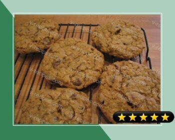Ultimate Oatmeal Cookies recipe
