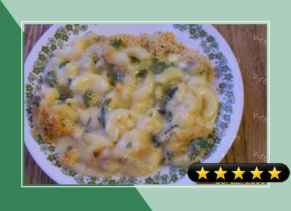 Three Cheese Macaroni and Cheese recipe