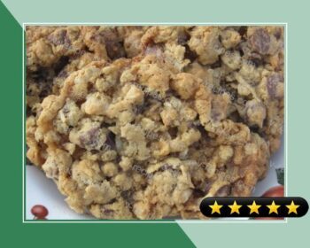 Amazing Oatmeal Cookies recipe
