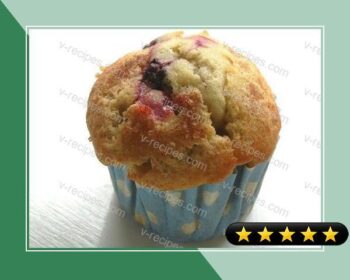 American Blackberry Muffin recipe