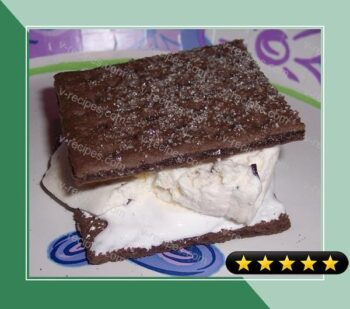 S'mores Chocolate Chip Ice Cream Sandwiches recipe