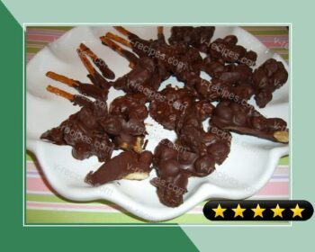 Chocolate Covered Raisins recipe