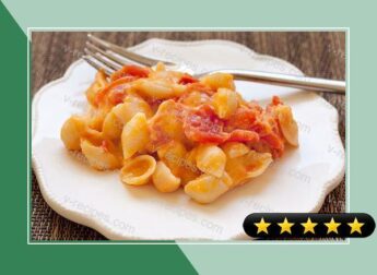 Cheddar Tomato Shells and Cheese recipe