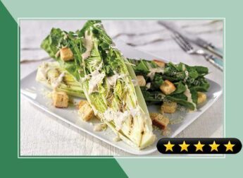 Grilled Caesar Salad recipe