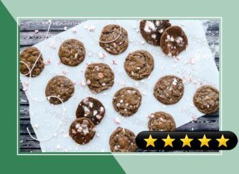 Fudgy Double Chocolate Peppermint Cookies recipe