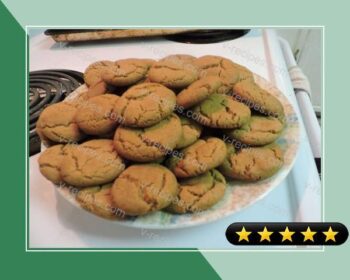 Elevator Lady Spice Cookies! recipe