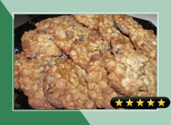 Double Date Delight Oatmeal Cookies recipe