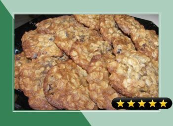 Double Date Delight Oatmeal Cookies recipe