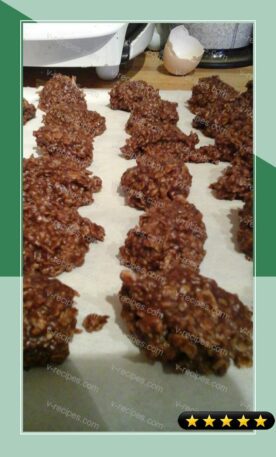 Peanut Butter, Coconut and Chocolate NO BAKE Cookies recipe