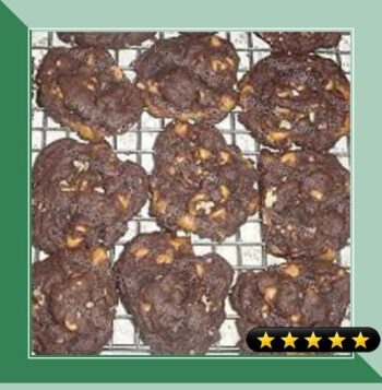 Easy Butterscotch Chip Chocolate Cookies recipe