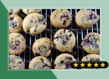 Blackberry Mini-Muffins or Mini-Cupcakes - You Decide! recipe