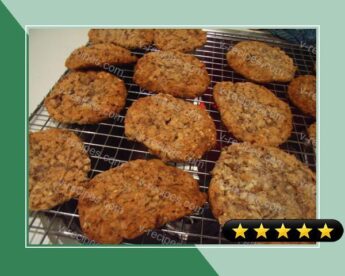 Family Favorite Chewy Apricot Pecan Oatmeal Cookies recipe