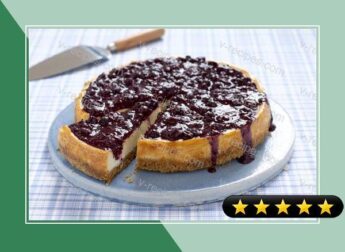 Blackcurrant and Rosemary Cheesecake Recipe recipe