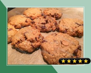 Peanut Butter Chocolate Chip Lactation Cookies recipe
