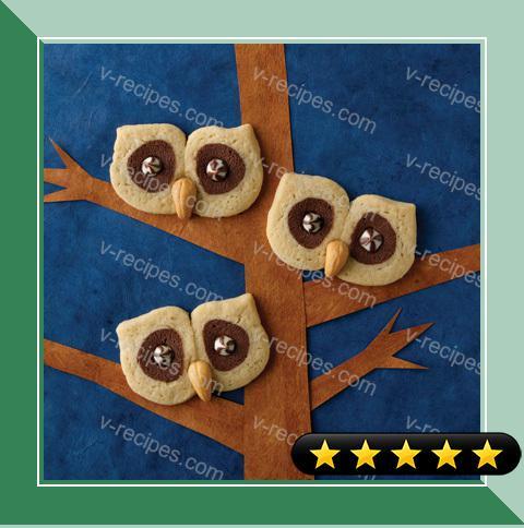 Brown-Eyed Owl Cookies recipe