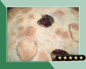 Cranberry-Apple Pie recipe