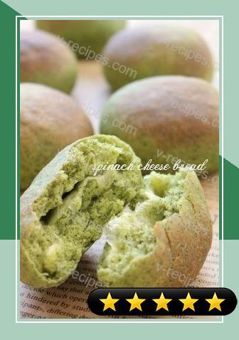 Vivid Green Spinach and Cheese Bread Rolls recipe