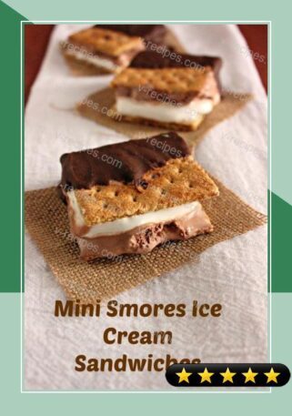 Mini Smores Ice Cream Sandwiches recipe
