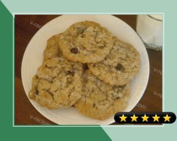 Best Oatmeal Cookies recipe