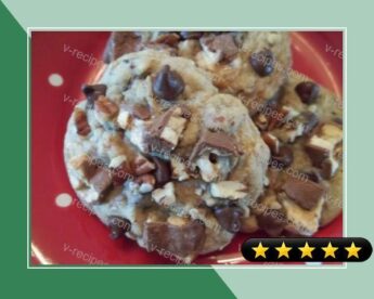Coffee House Cookies (Pampered Chef) recipe