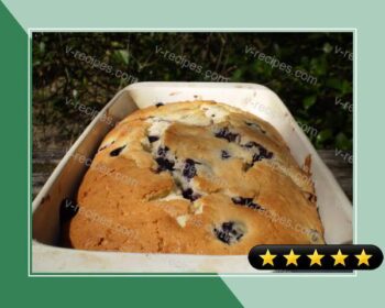 Blueberry Pudding Loaf recipe