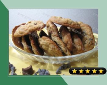 Caramel Pecan Cookies recipe