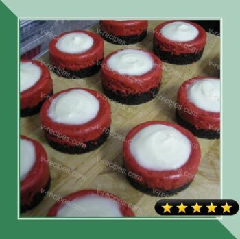 Mini Red Velvet Cheesecakes recipe