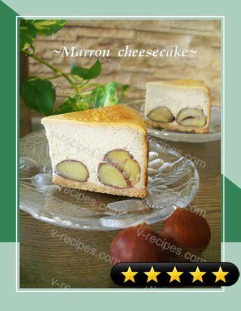 Chestnut Cheesecake recipe