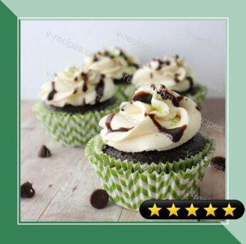 Chocolate Guinness Cupcakes with Irish Cream Frosting recipe
