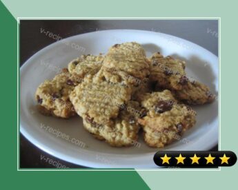 Sultana Oat Cookies recipe