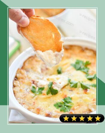 Beer Caramelized Onion Dip recipe