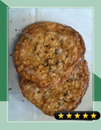 Oatmeal Chocolate Chip Lactation Cookies by Noel Trujillo recipe