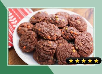 Chocolate-Peanut Butter Pudding Cookies recipe
