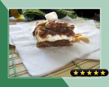 Salted Nut Roll Squares recipe