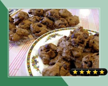 Chocolate Oat Bran Cookies With Chocolate Chips recipe