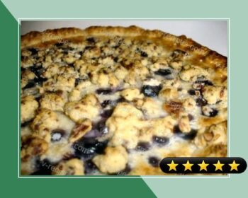 Blueberry Sour Cream Pie recipe