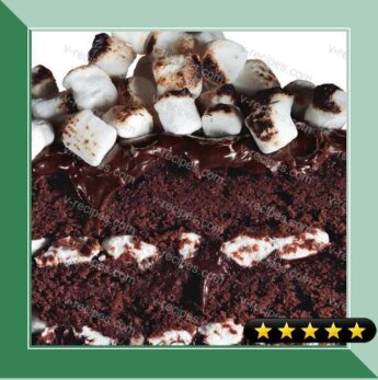 Chocolate-Malt Cake recipe