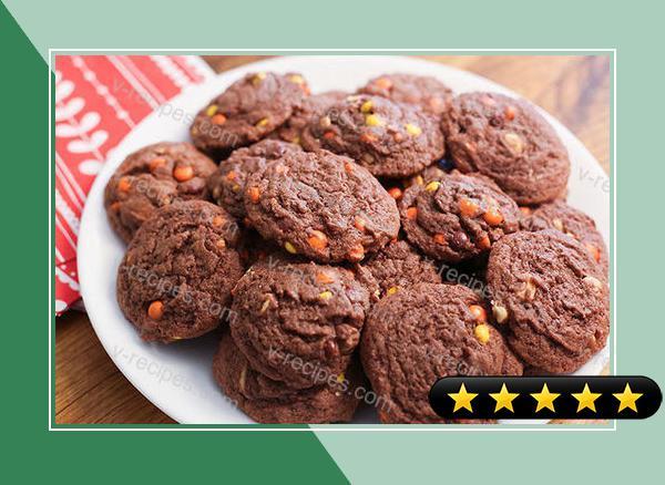 Chocolate-Peanut Butter Pudding Cookies recipe