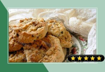 Lacemaker's Cattern Cakes - English Spiced Sugar Cookies recipe
