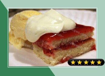 Lemony Shortcake with Strawberry Sauce and Whipped Cream...and maybe a little Ice Cream too recipe