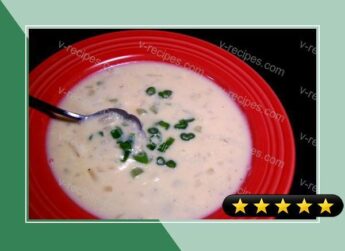 Double Cheese Soup recipe