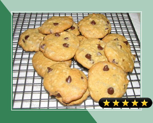 Chocolate Chip, Oatmeal, Walnut and Coconut Cookies recipe