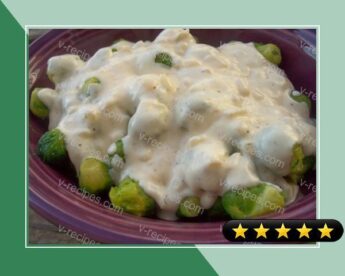Brussels Sprouts With Sour Cream Sauce recipe