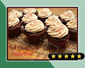 Hot Chocolate Cupcakes with Candy Cane Buttercream recipe